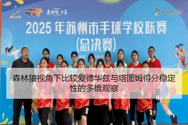 森林狼视角下比较爱德华兹与塔图姆得分稳定性的多维观察